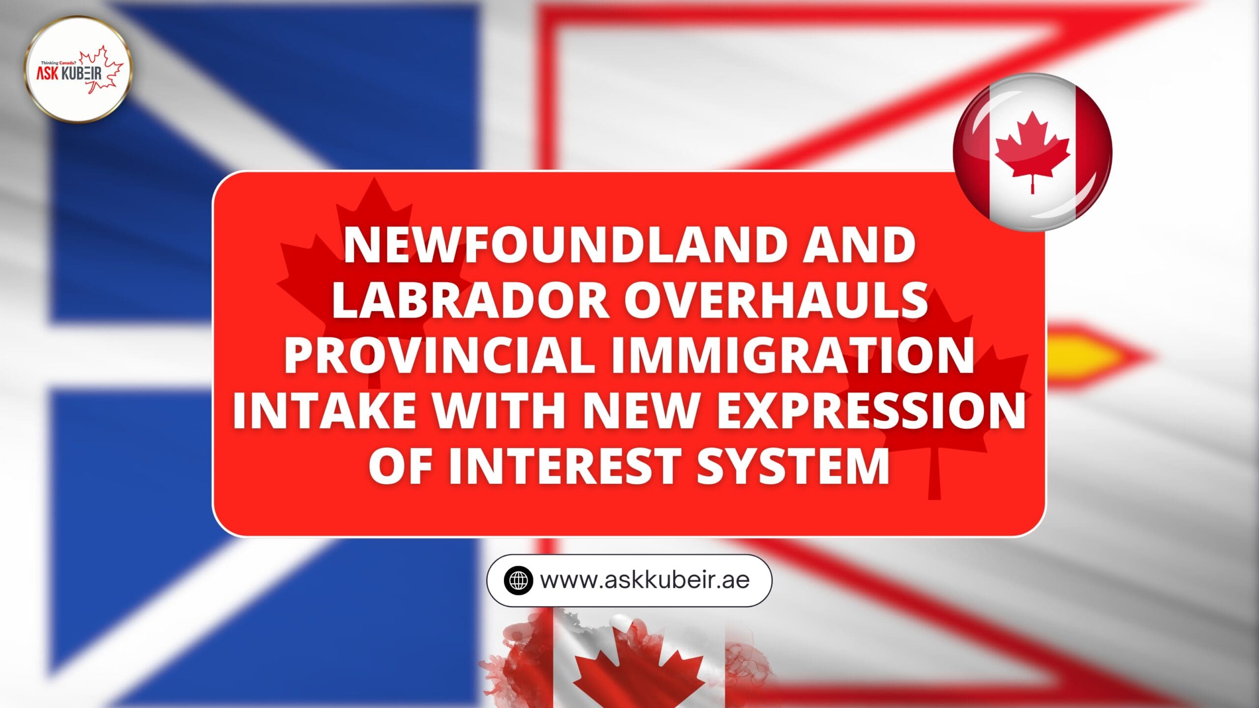 A candidate submitting their profile through Newfoundland and Labrador's Expression of Interest System for immigration.