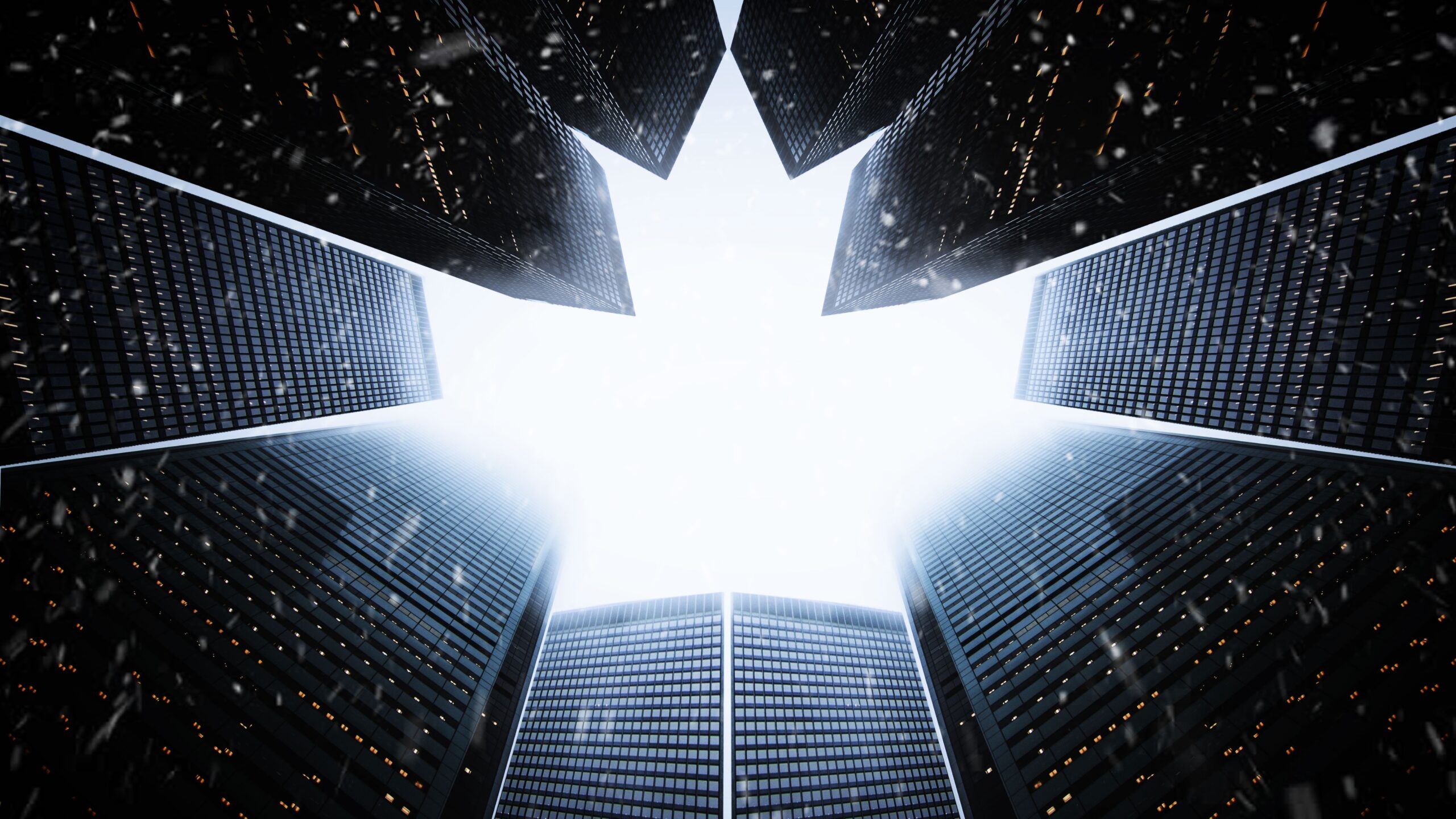 2025 Express Entry in Review: Who Got Invitations and What Changed